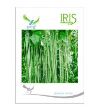 Iris F1 Yard Long Bean 15 Seeds